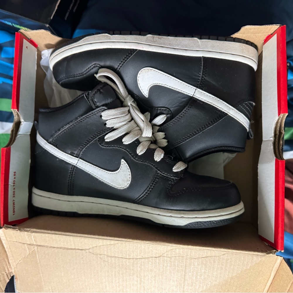 NIKE DUNK HI (PS)